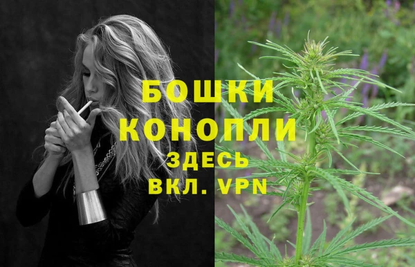 дмт Семилуки