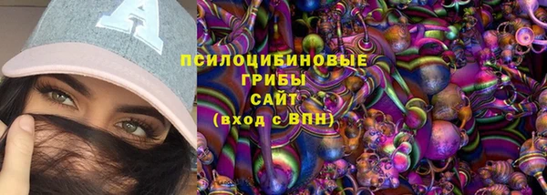 тгк Бронницы
